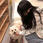 轩辕诀果盘手游下载